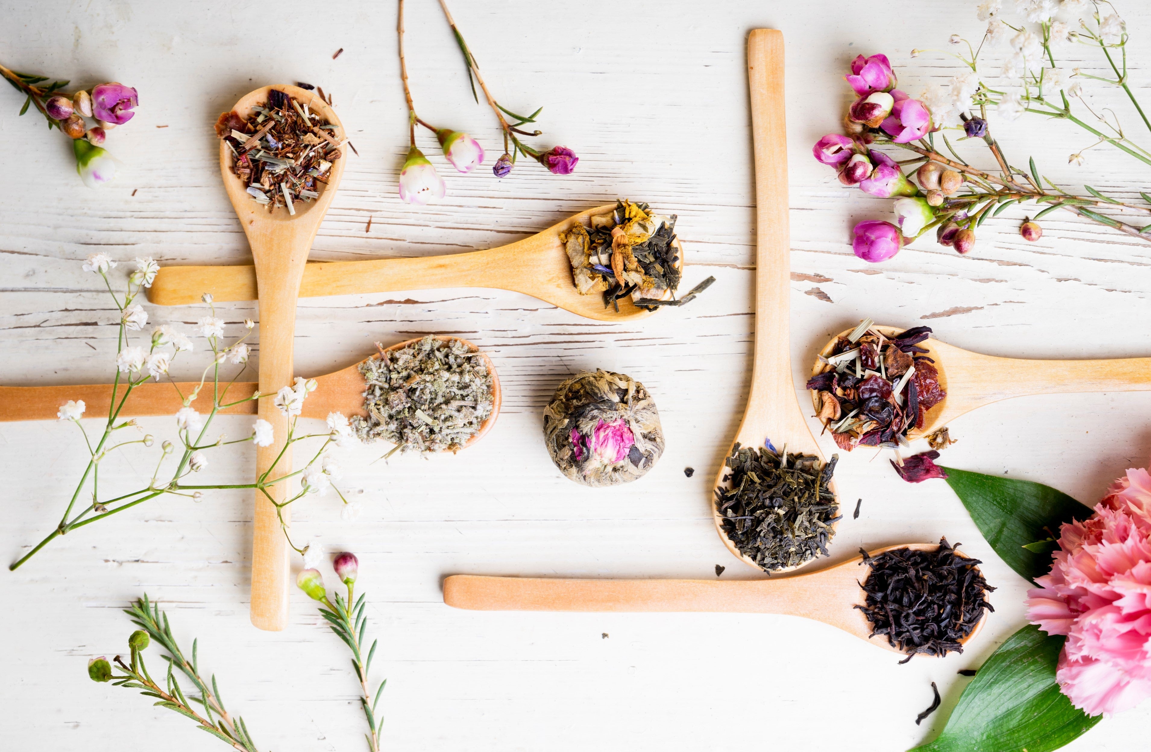 Assorted dried herbs and floral blends on wooden spoons a herbal tea for immunity support