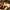 Testing Alt