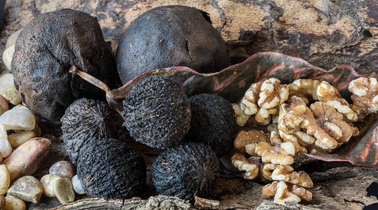 Black Walnut (Juglans nigra) featuring whole dark husks alongside cracked shells revealing the rich, textured walnut kernels, arranged on a rustic natural surface.