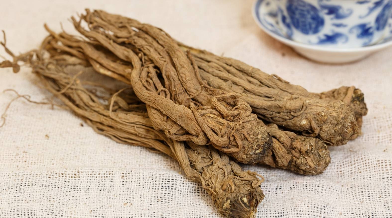 Dried dong quai (Angelica sinensis) roots with twisted, fibrous texture, displayed on a neutral cloth surface.
