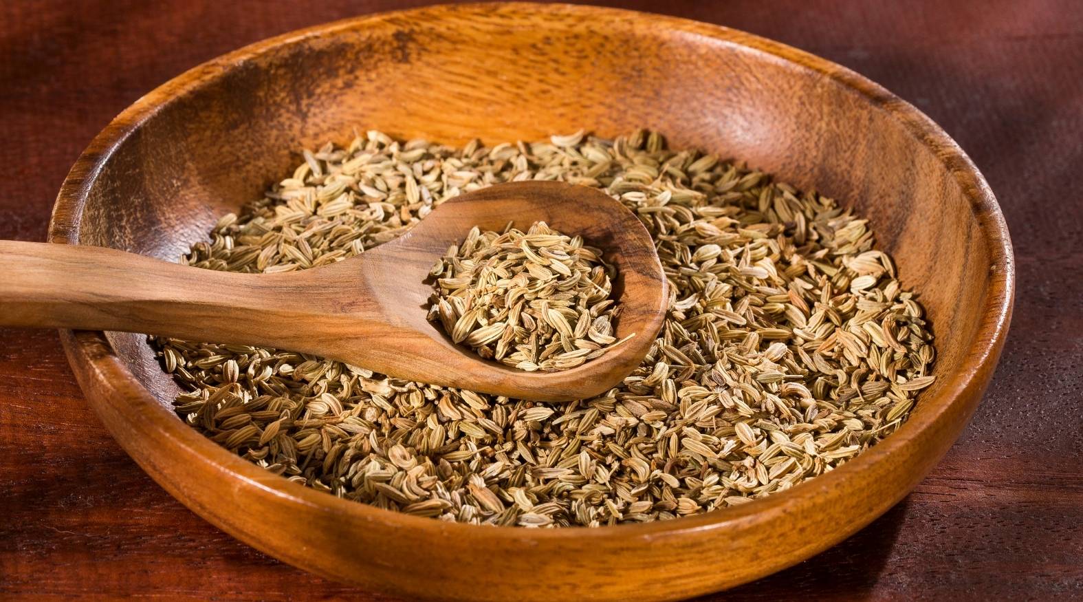 showing a bowl of fennel seeds (Foeniculum vulgare) with a wooden spoon, highlighting their small, ridged texture and natural colour.