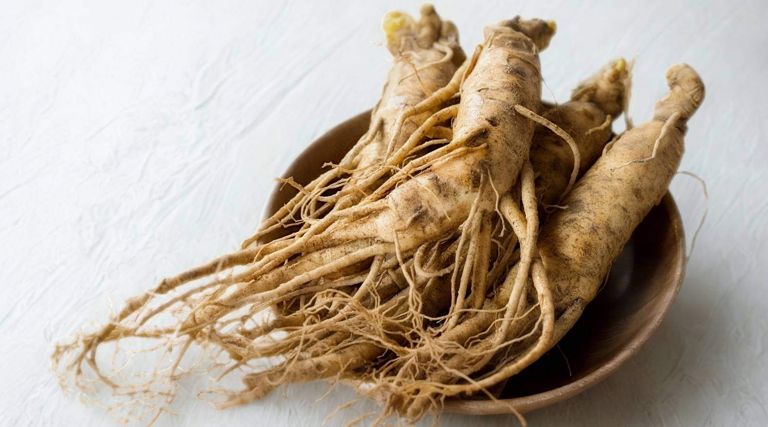 Showing Asian ginseng roots (Panax ginseng) in a bowl, highlighting their pale colour and branching, human-like shape.