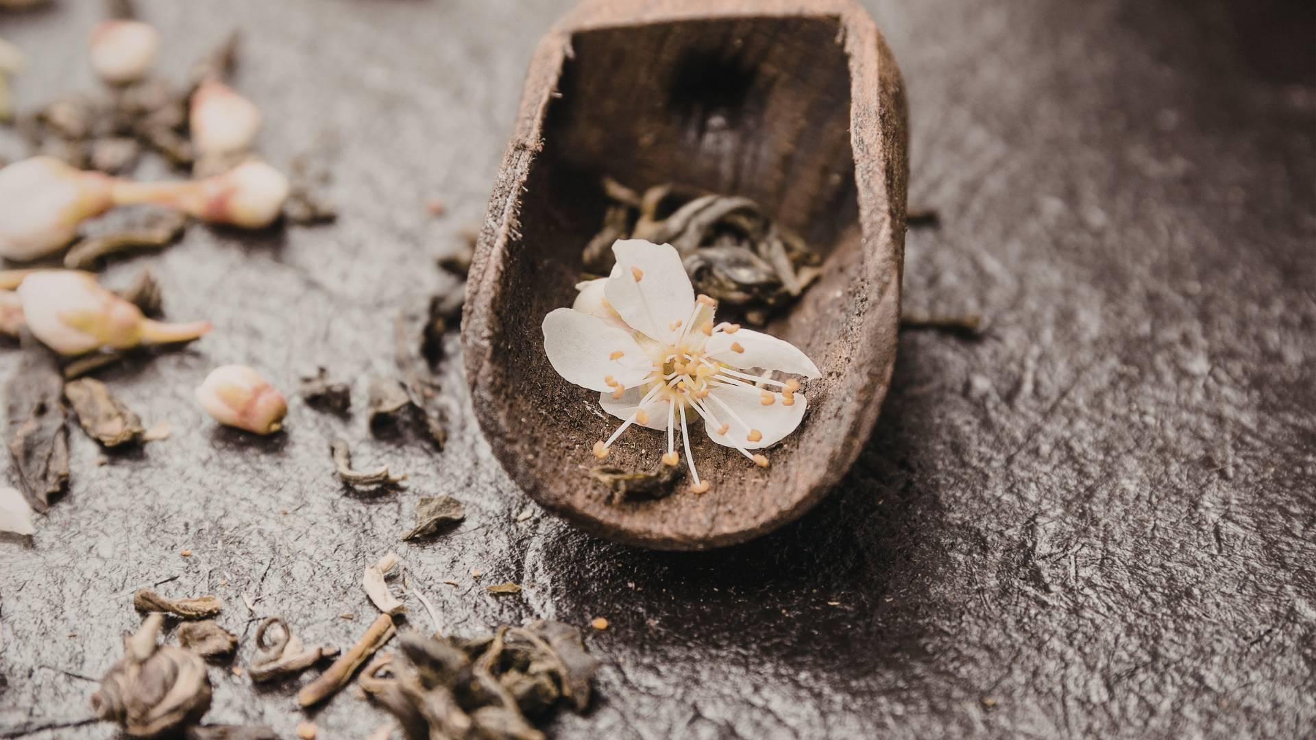 Wooden scoop filled with dried herbs and a white blossom representing liver and gallbladder support.