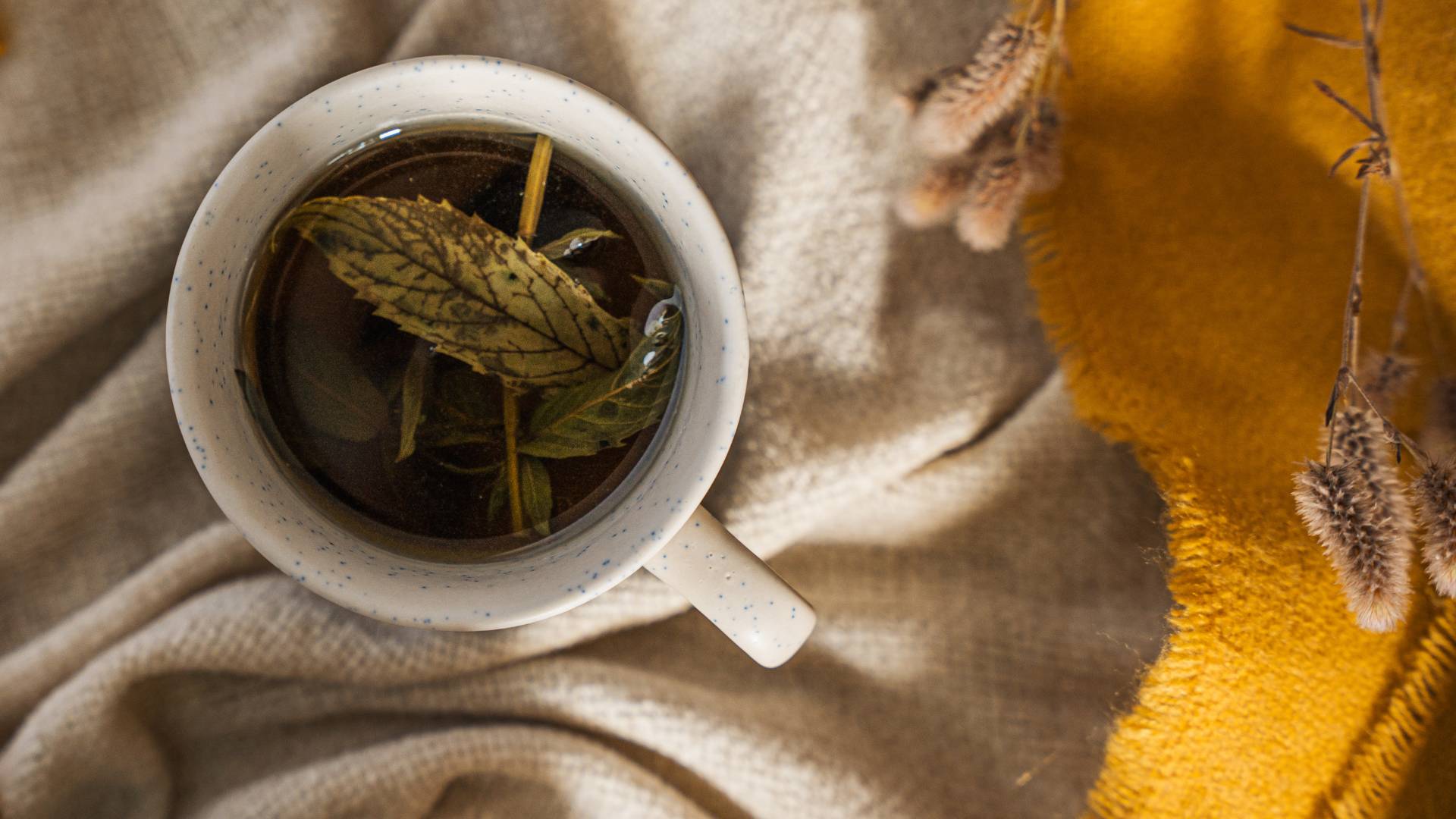 Warm cup of herbal tea with fresh herbs, placed on a cozy blanket, representing a calming bedtime tea ritual.