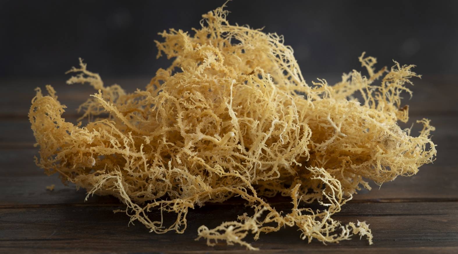 Dried Irish moss (Chondrus crispus) with a light, tangled, thread-like structure, displayed on a dark wooden surface.