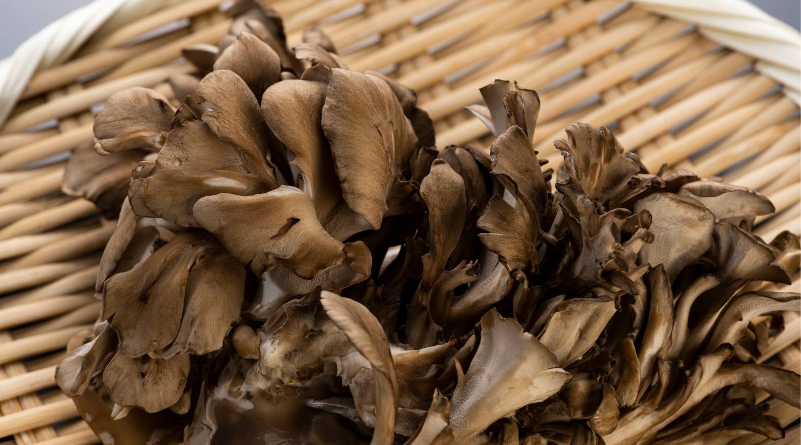 Maitake mushroom (Grifola frondosa) showing clustered, layered fronds with soft, ruffled edges in earthy brown tones, arranged on a woven surface.