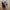 Herbal tincture bottle with dried herbs on wooden surface, natural herbal tea for menopause support