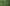 Close-up of rosemary (Salvia rosmarinus) showing slender, needle-like green leaves growing densely along upright woody stems, with a soft, blurred green background highlighting its fresh, aromatic appearance.