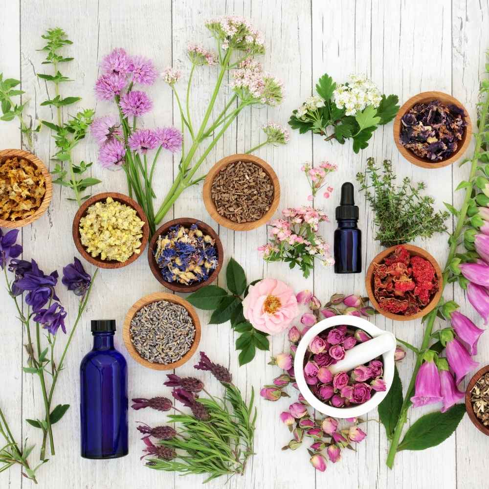 An overhead flat-lay of assorted dried and fresh botanicals arranged on a white wood surface, including purple and pink flowers, green leaves, brown herbal bowls, a white mortar with pink rose petals and a white pestle, a blue glass bottle, and a small dark blue dropper bottle.