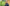 Promotion banner