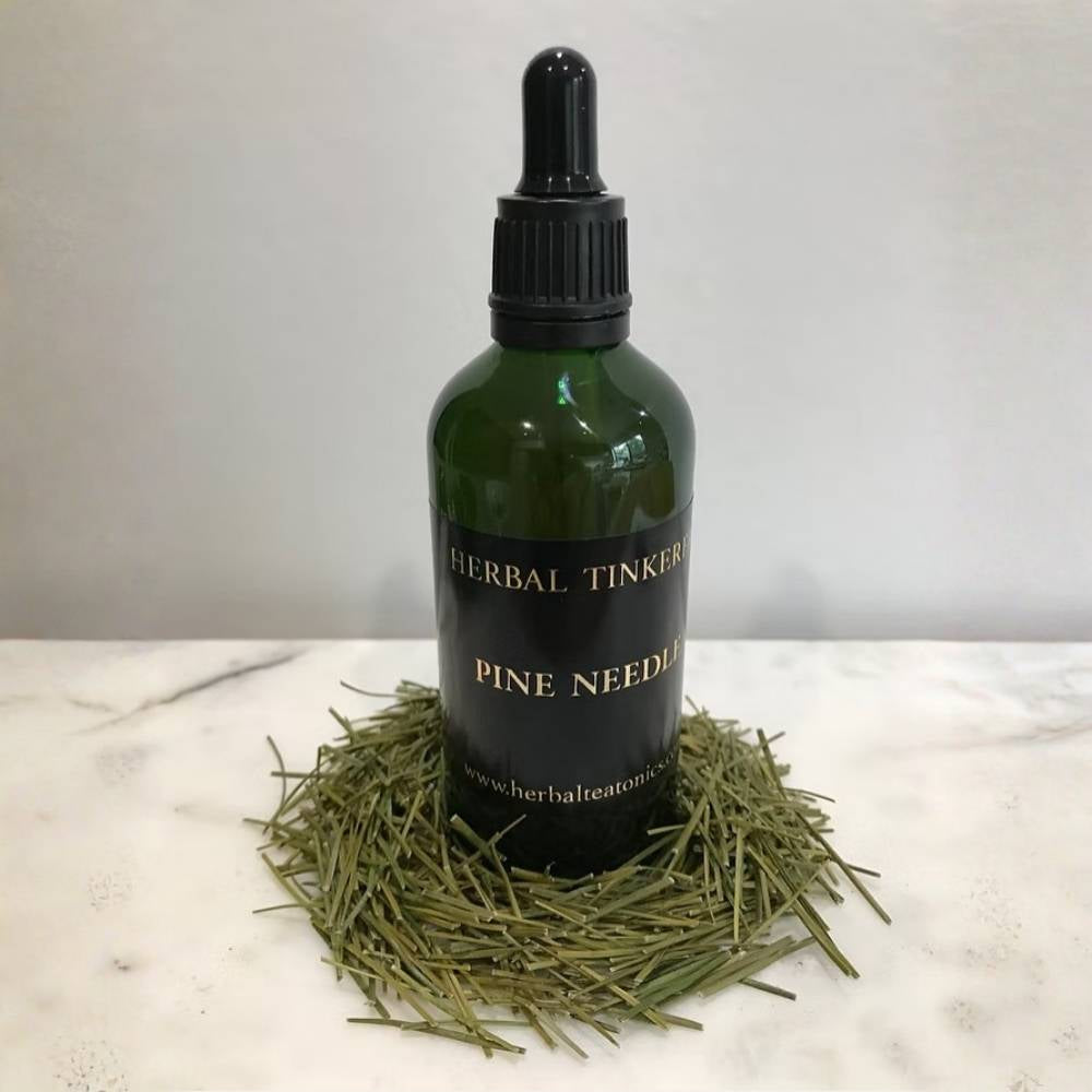 Herbal tincture bottle with pine needles on a marble surface